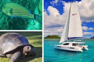 Seychelles Cruise with Colgate Sailing Adventures